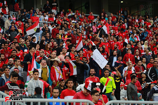 اقبال جماهيرى ضعيف قبل مباراة مصر وتونس (25)