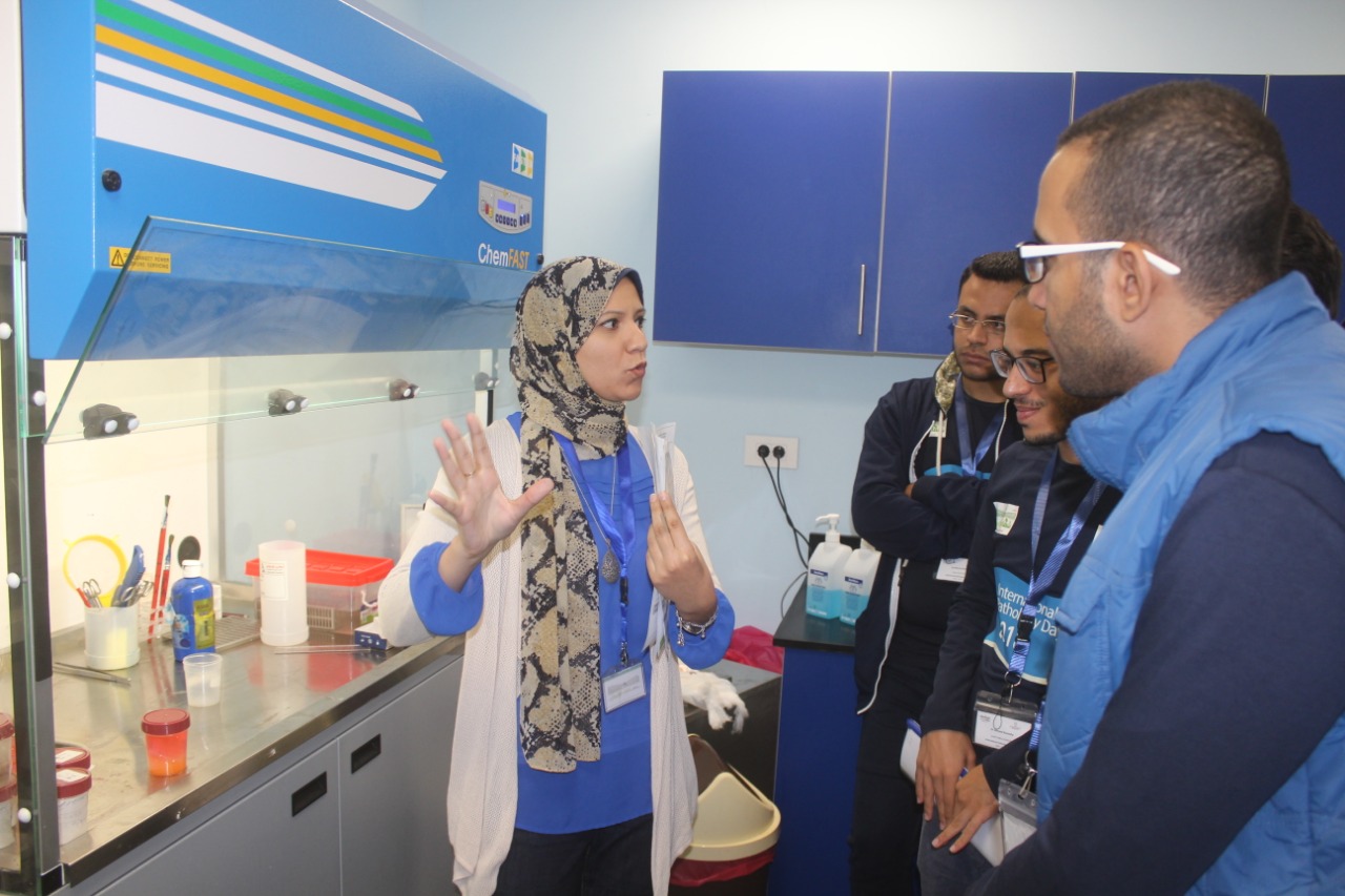 معمل مستشفي أورام الأقصر يحتفل بـاليوم العالمي للباثولوجي (3)