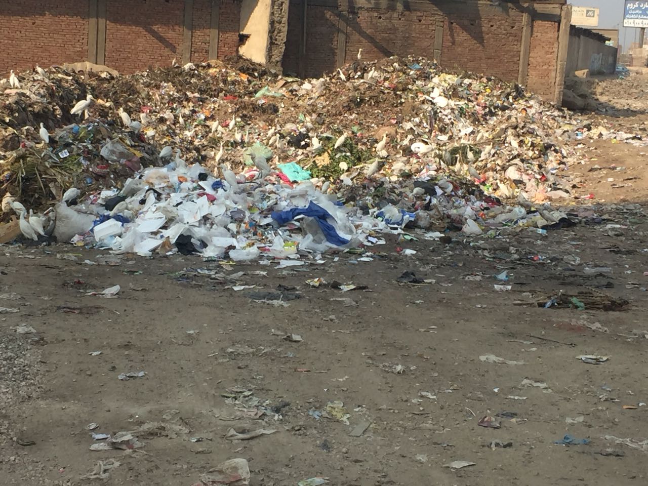 القمامة تغلق شارع بقليوب بعد تخصيصه كنقطة مناولة (1)
