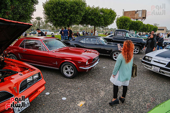 معارض السيارات القديمة بالكويت (14)