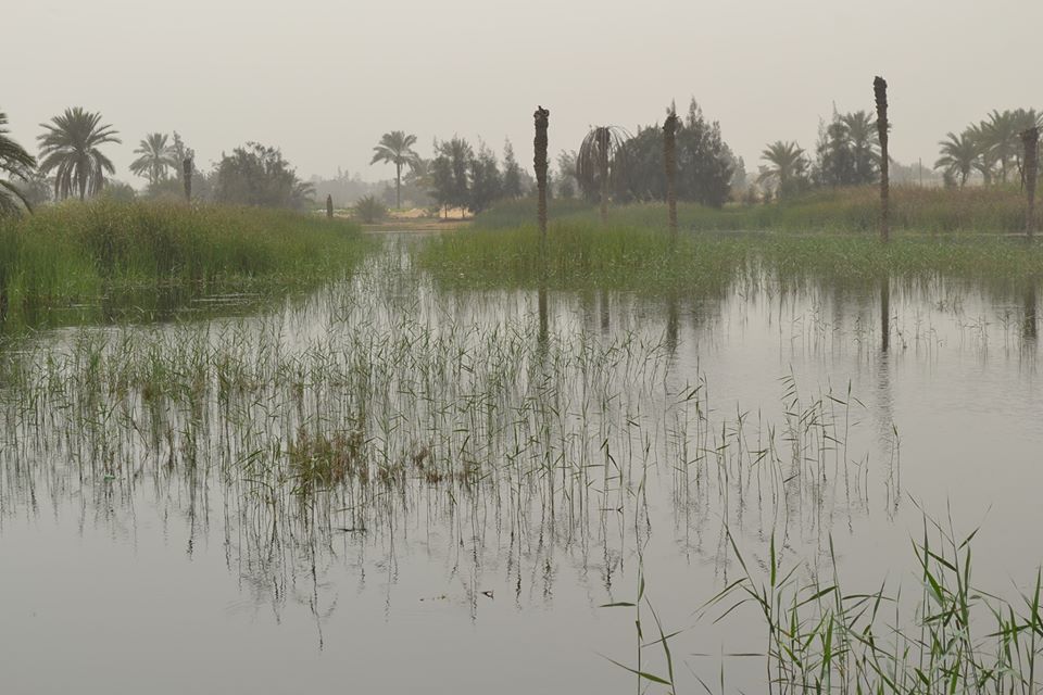 6- حماية الأراضى الزراعية من مياه الرشح