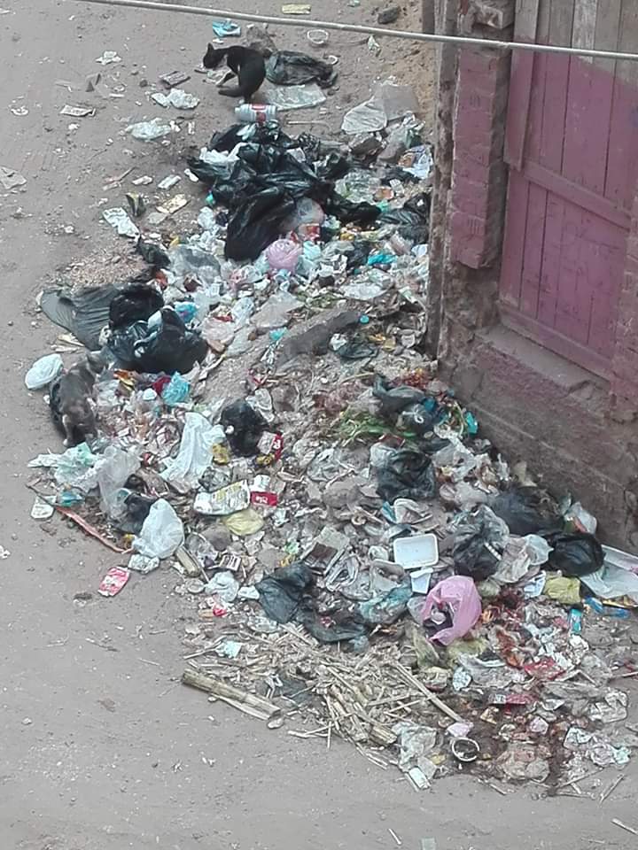 أهالي مدينة زفتي يطالبون المجلس برفع القمامه من الشوارع