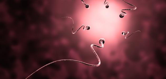 تشوهات 1 تشوهات 1