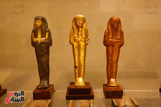 احتفالية المتحف المصرى بالتحرير (12)