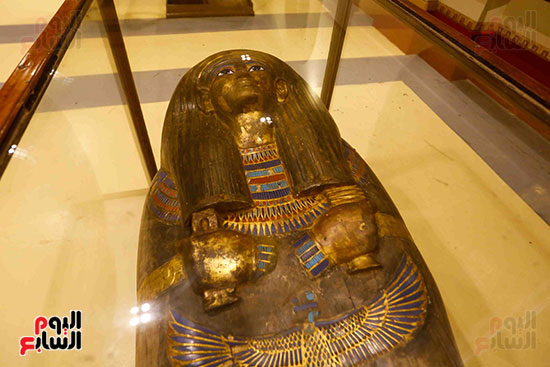 احتفالية المتحف المصرى بالتحرير (16)