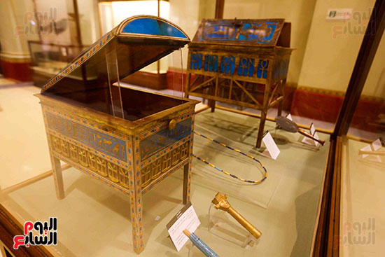 احتفالية المتحف المصرى بالتحرير (31)