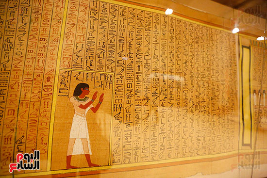 احتفالية المتحف المصرى بالتحرير (18)