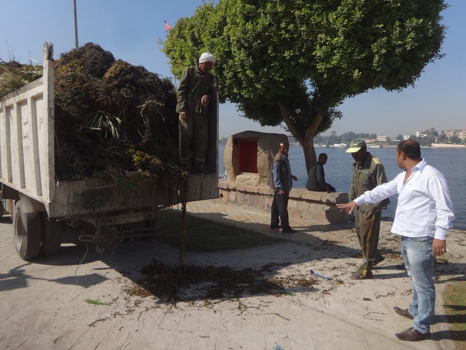 مدينة الأقصر تقود حملات لتنظيف نهر النيل من المخلفات وترفع 14 طن مخلفات بالشوارع (2)