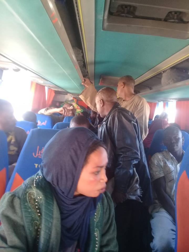شاهد محافظة الأقصر توفر أتوبيس رحلات لأشقاء السودانيين بعد حادث صباح اليوم (2)