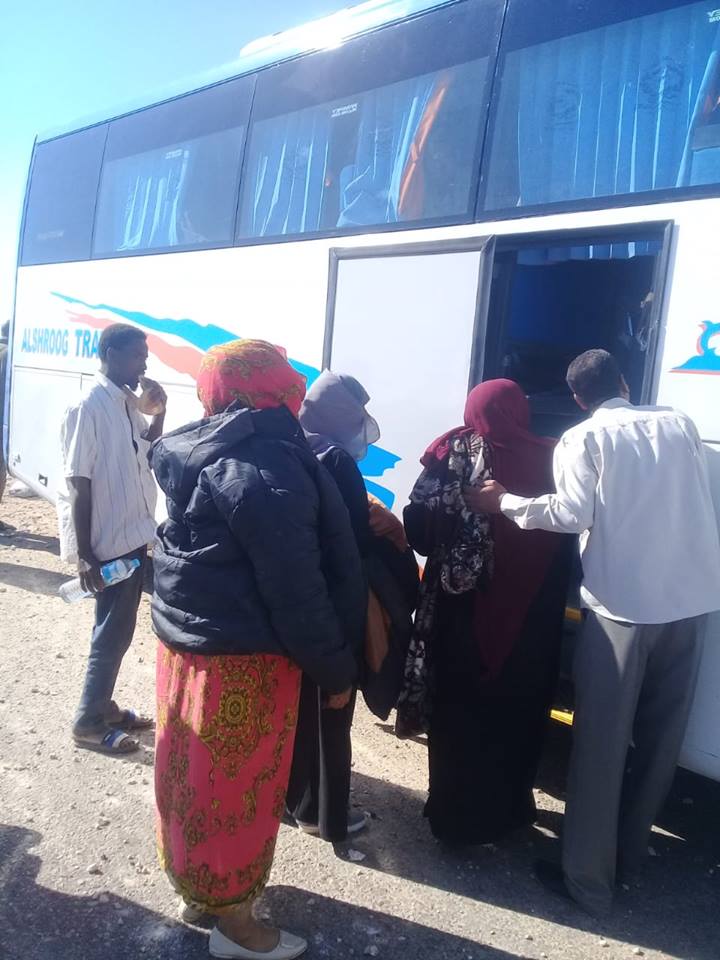 شاهد محافظة الأقصر توفر أتوبيس رحلات لأشقاء السودانيين بعد حادث صباح اليوم (1)