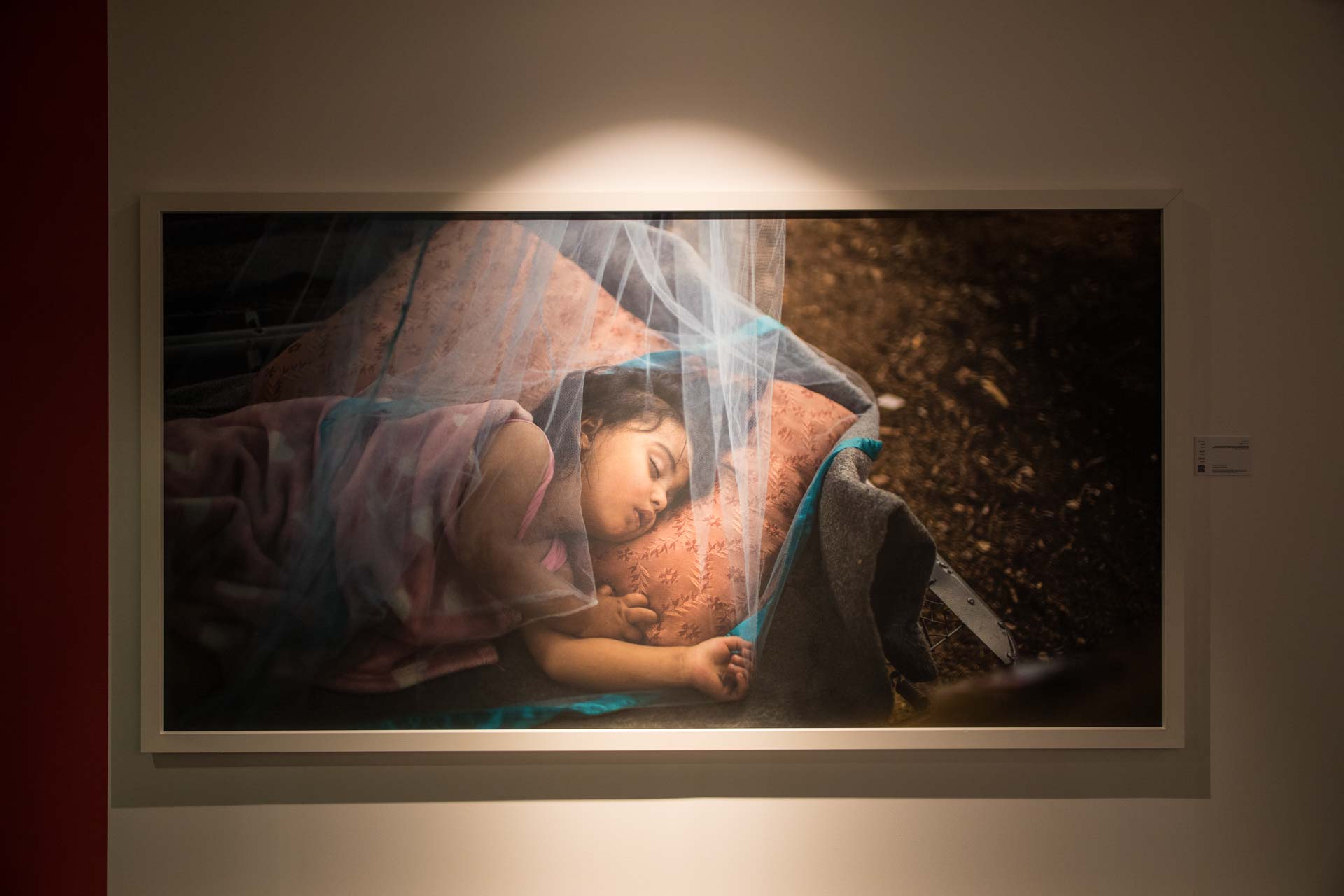 صور من معرض يوميات لاجئ في إكسبوجر 2018 (1)