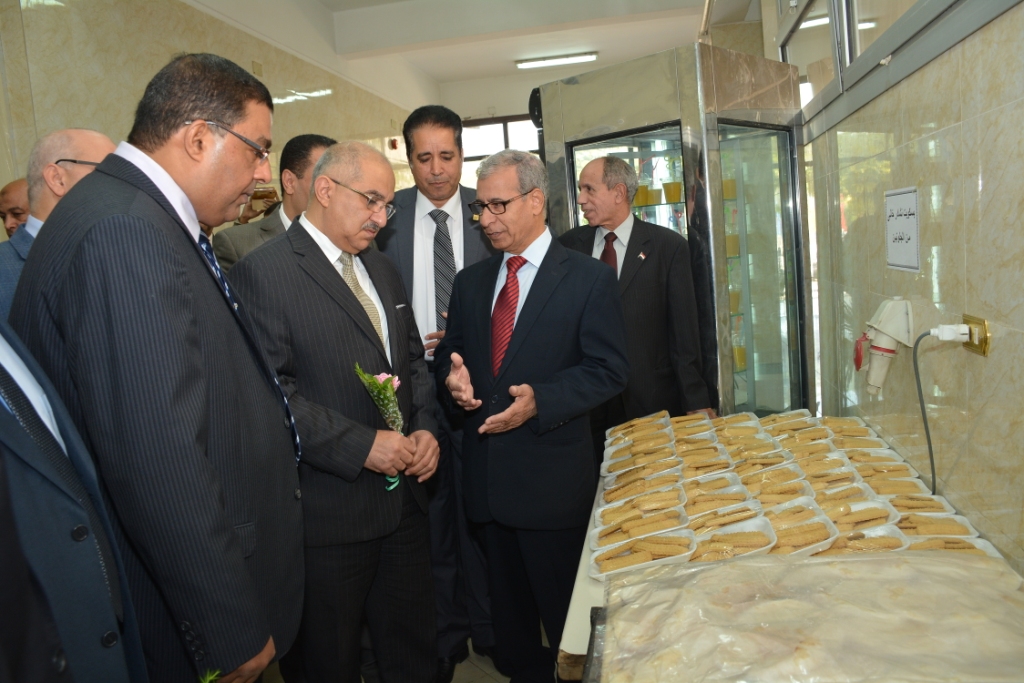 رئيس جامعة أسيوط يفتتح أول مخبز للمنتجات الخالية من الجلوتين في صعيد مصر (5)