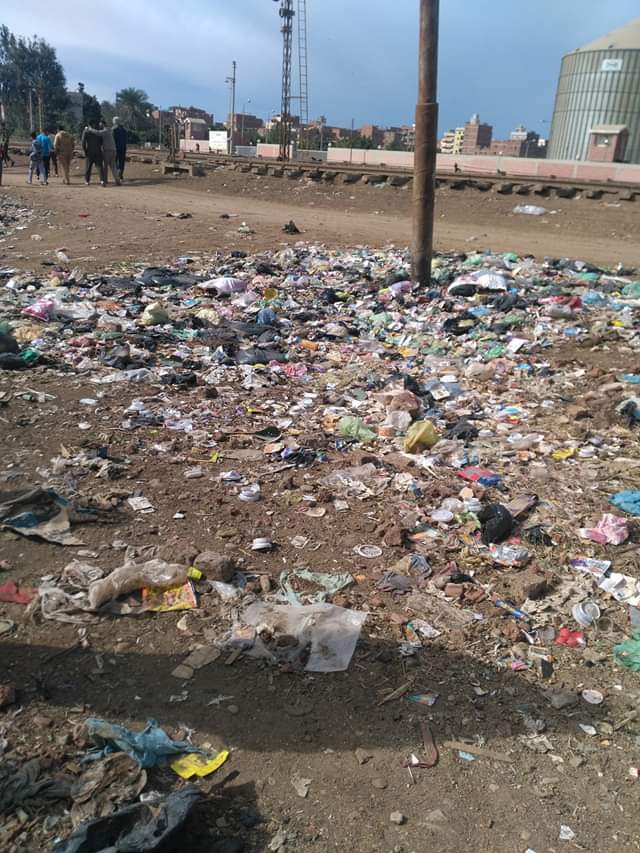  القمامة تحاصر منطقة الحساسة بمنوف  (2)