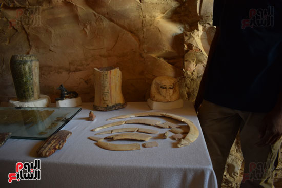 وزير الآثار يعلن اكتشاف مقبرة ثاو آر خت إف بالأقصر (14)