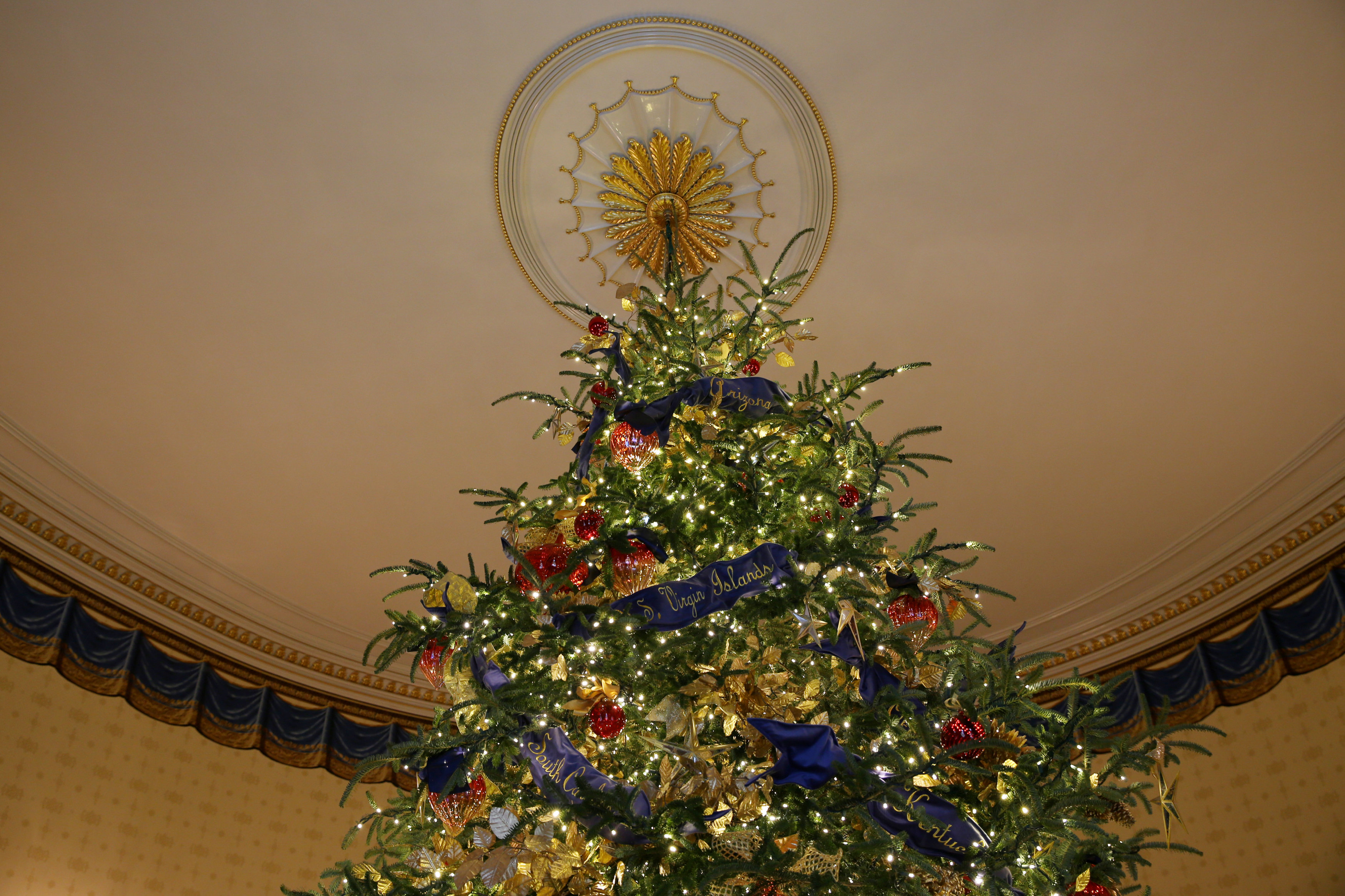 شجرة عيد الميلاد بالبيت الأبيض