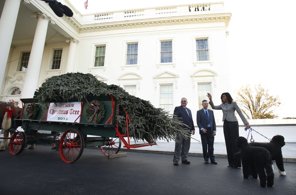ميشيل أوباما تستقبل شجرة الكريسماس لعام 2015