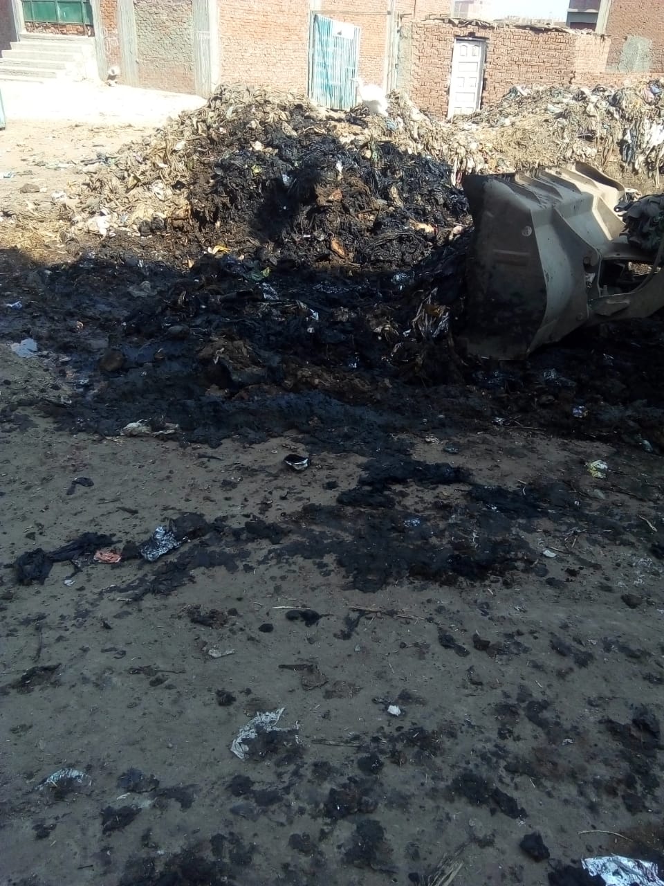 رفع القمامة من أمام مدرسة بشبين القناطر (6)