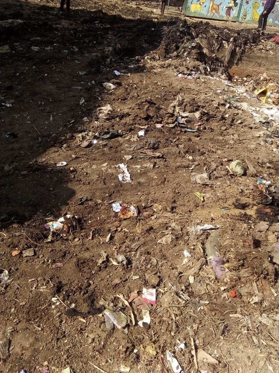 رفع القمامة من أمام مدرسة بشبين القناطر (4)