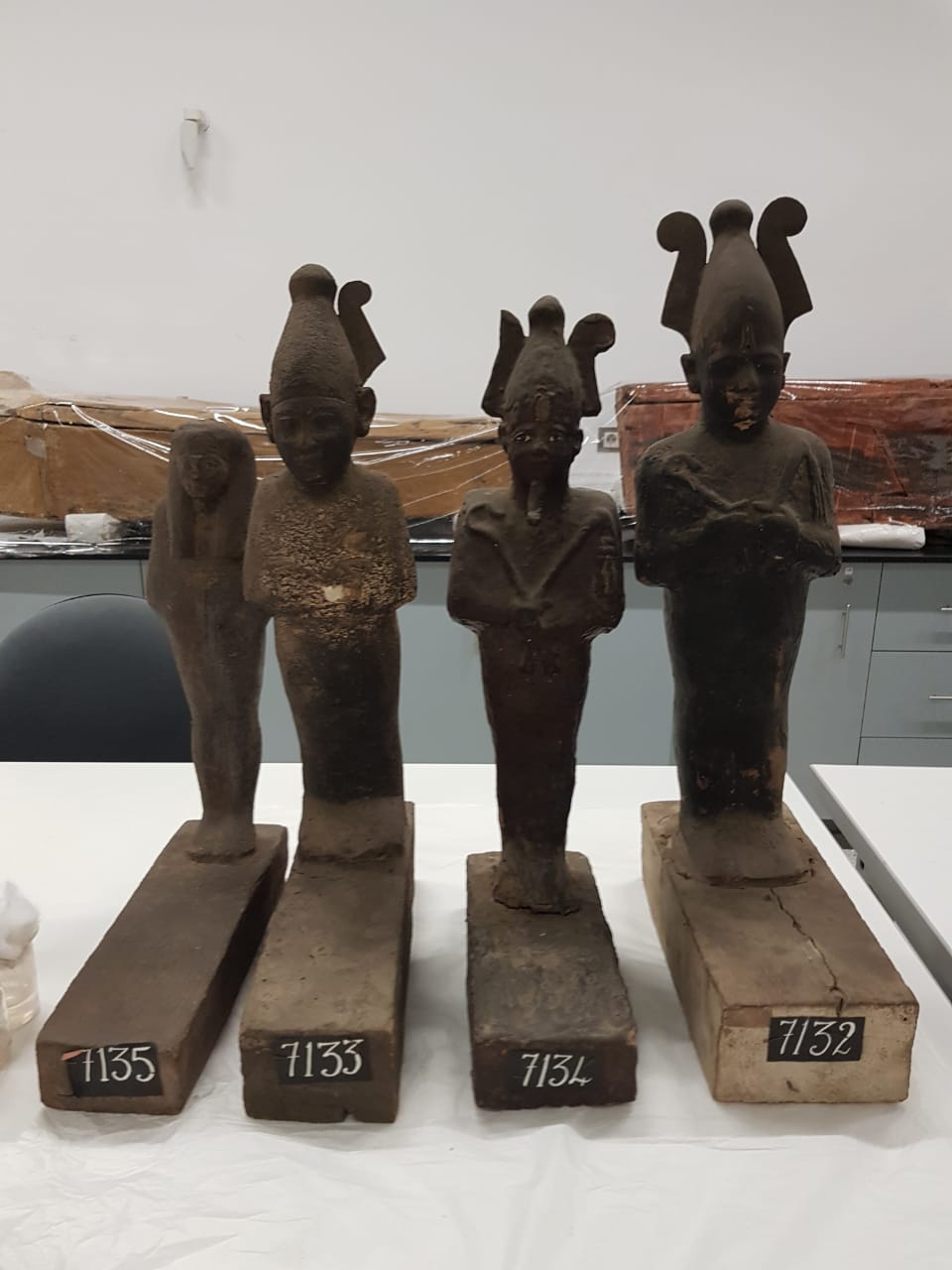 المتحف المصرى الكبير يستقبل مجموعة من مقتينات توت عنخ آمون (13)