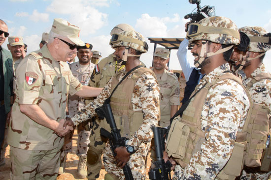  القوات العربية المشاركة (2)
