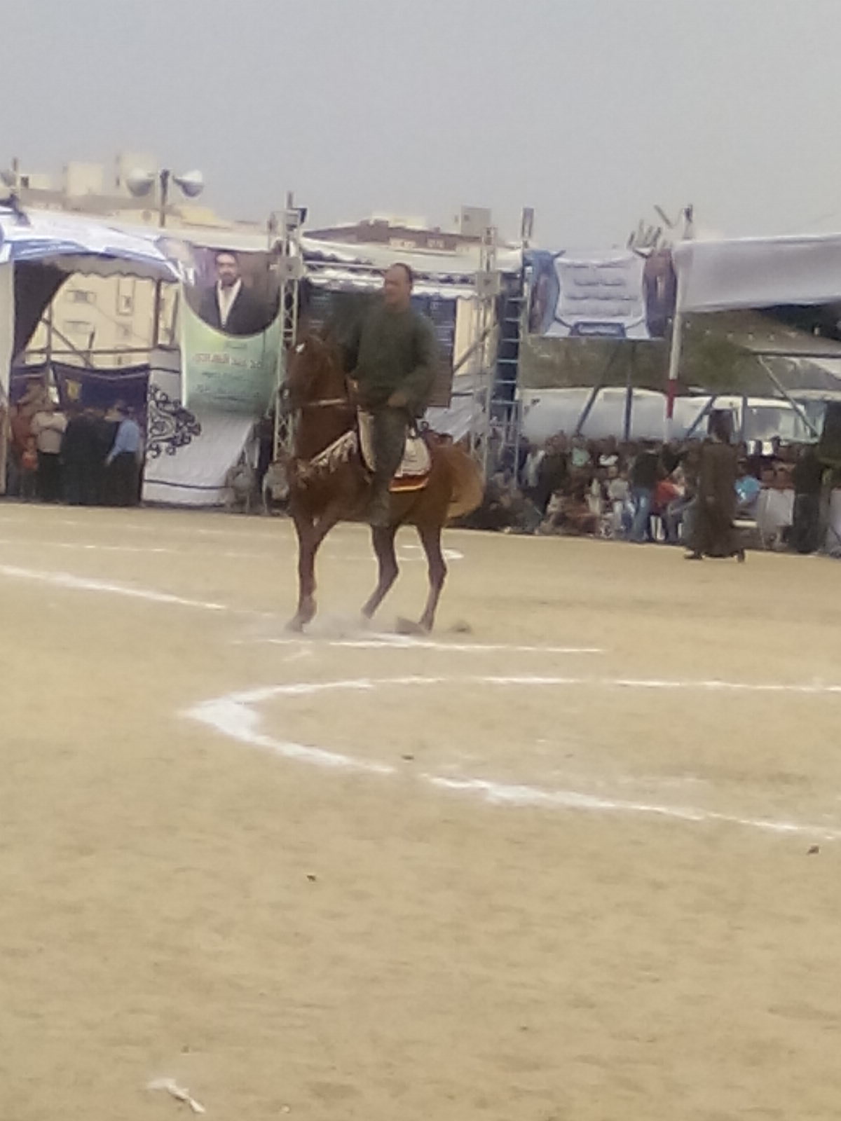 مهرجان الخيول العربية  (6)