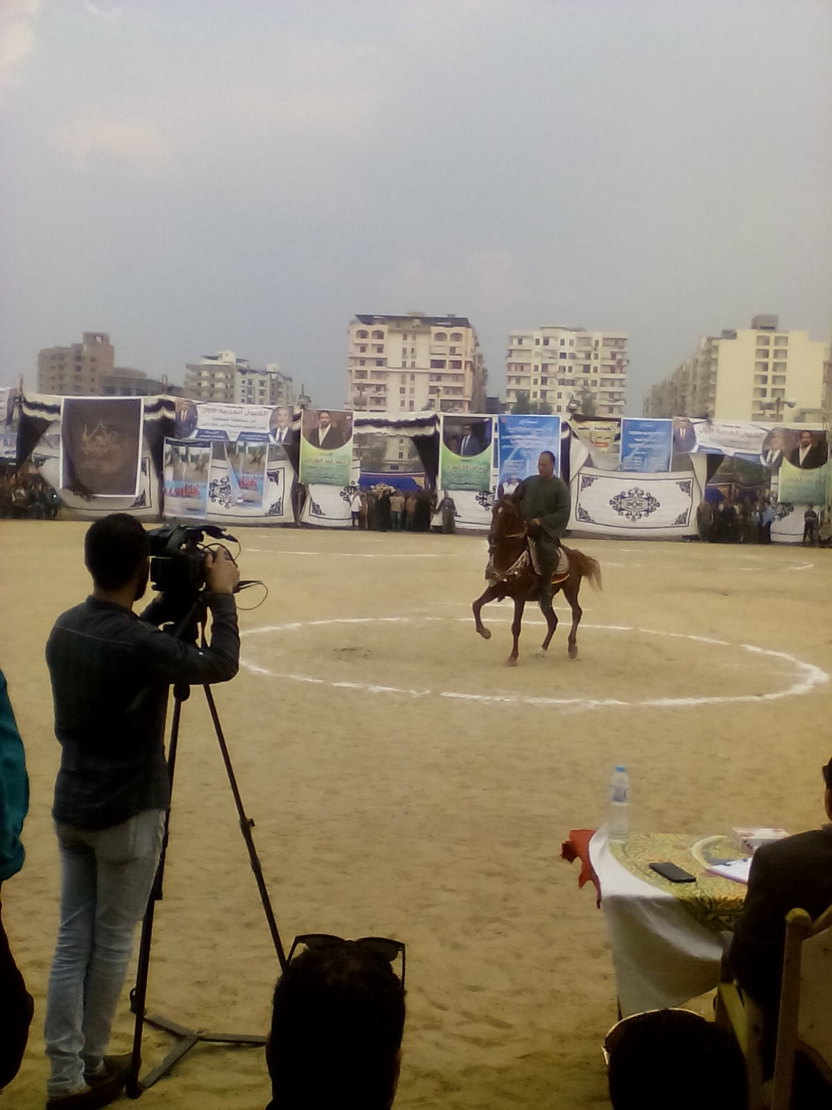 مهرجان الخيول العربية  (8)