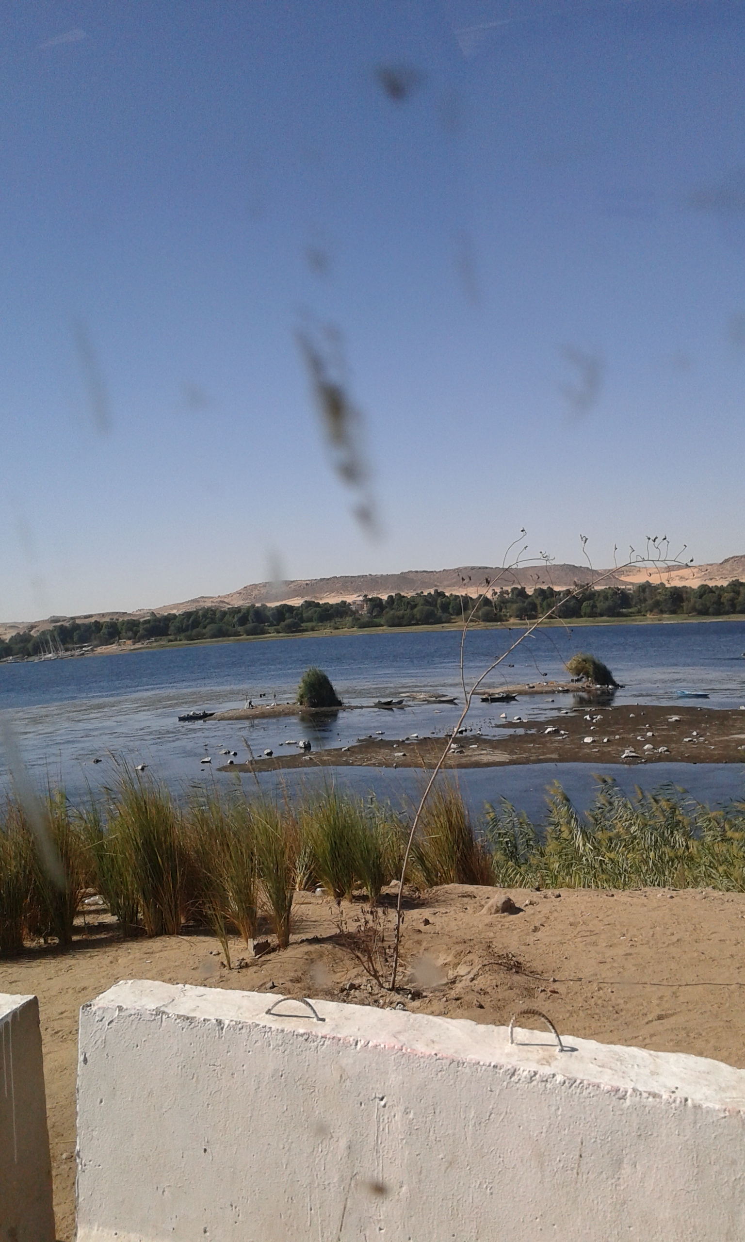نهر النيل بأسوان    (1)