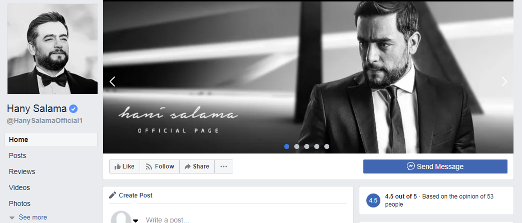 الصفحات المزيفة