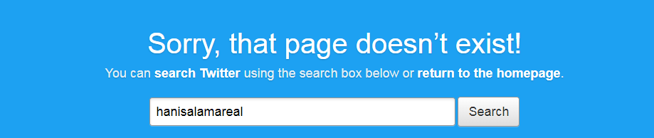 الصفحات المزيفة