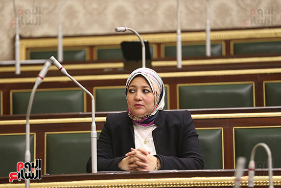 مجلس النواب البرلمان (8)