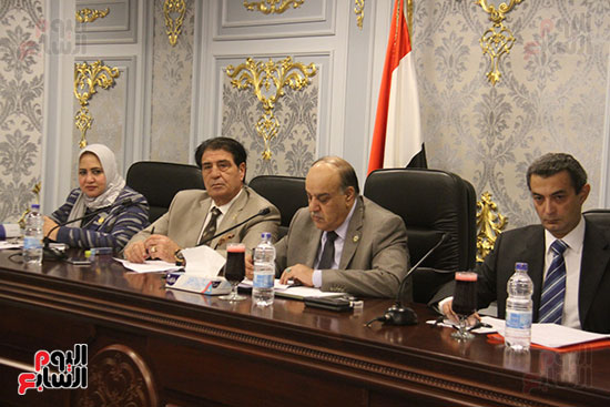 صور لجنة الشئون العربية (6)