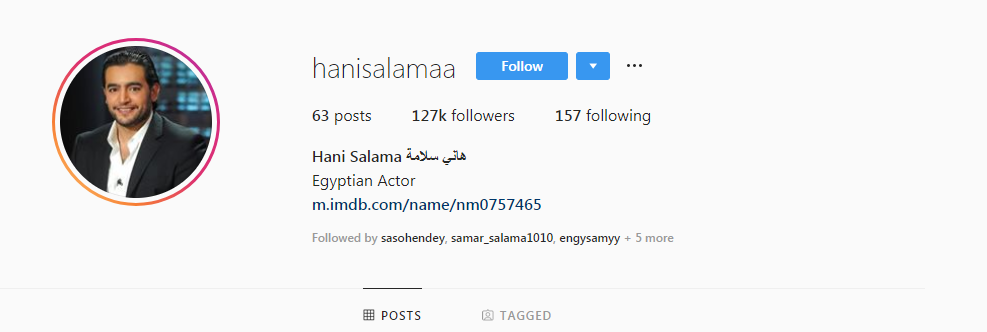 الصفحات المزيفة