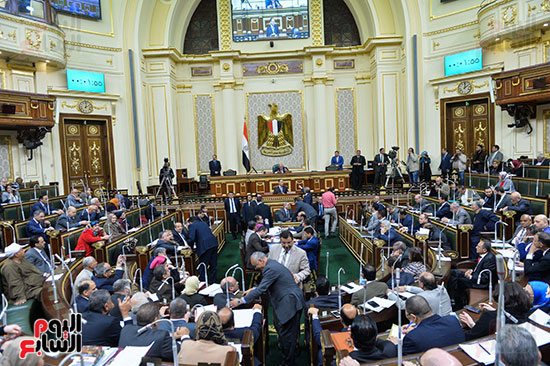صور مجلس النواب البرلمان (13)