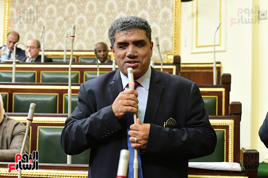 صور مجلس النواب البرلمان (18)