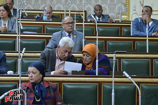 صور مجلس النواب البرلمان (6)