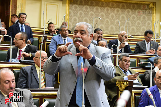 صور مجلس النواب البرلمان (22)