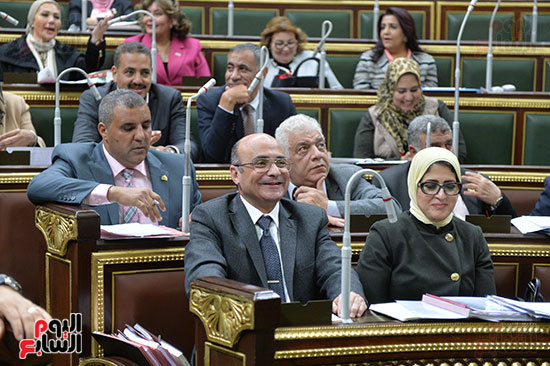 صور مجلس النواب البرلمان (7)