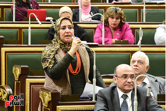 صور مجلس النواب البرلمان (19)