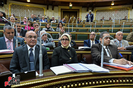 صور مجلس النواب البرلمان (3)