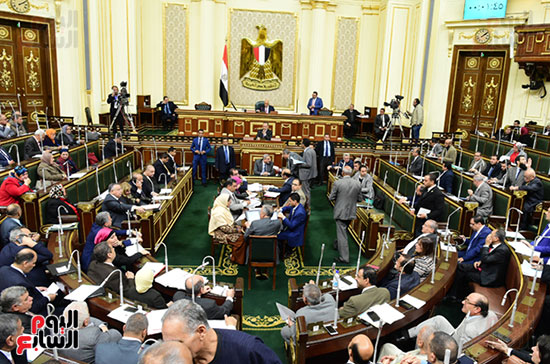 صور مجلس النواب البرلمان (30)
