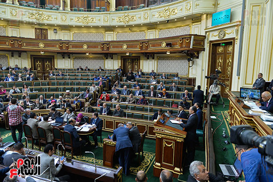 صور مجلس النواب البرلمان (1)