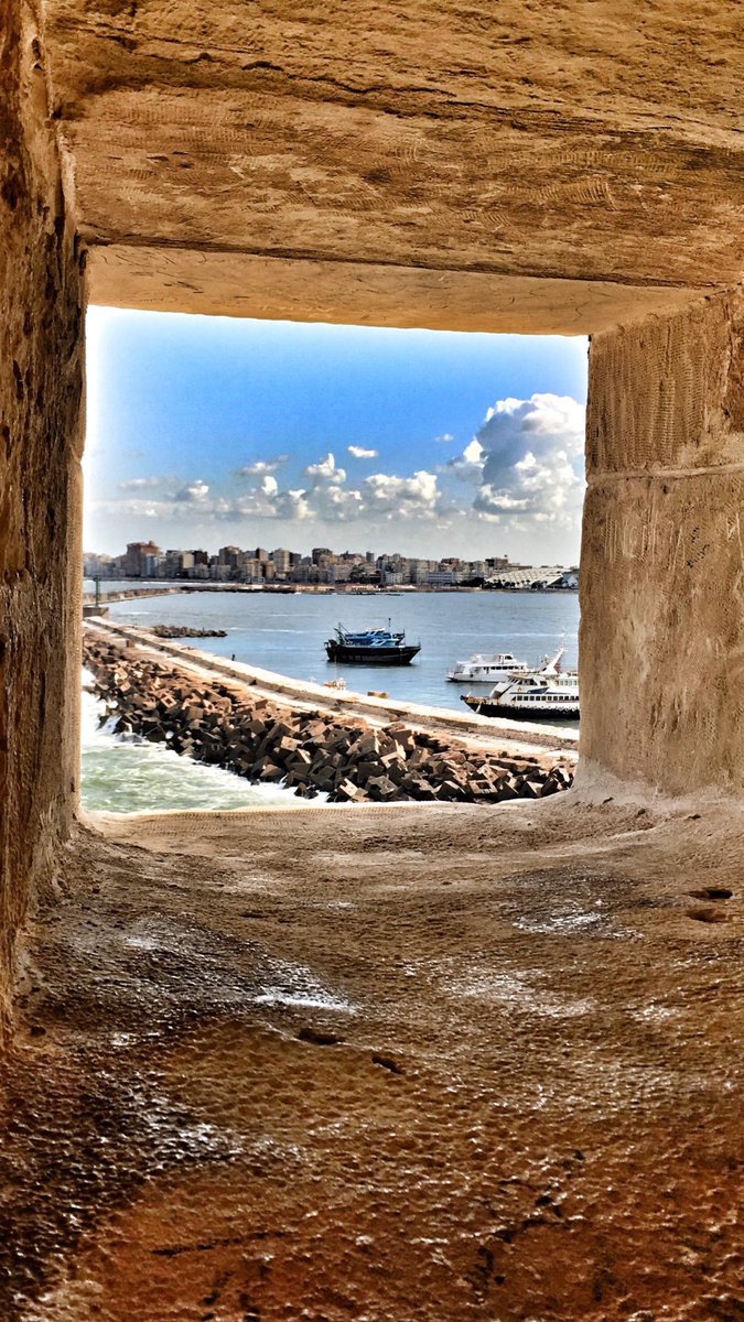 من الاسكندرية من الاسكندرية