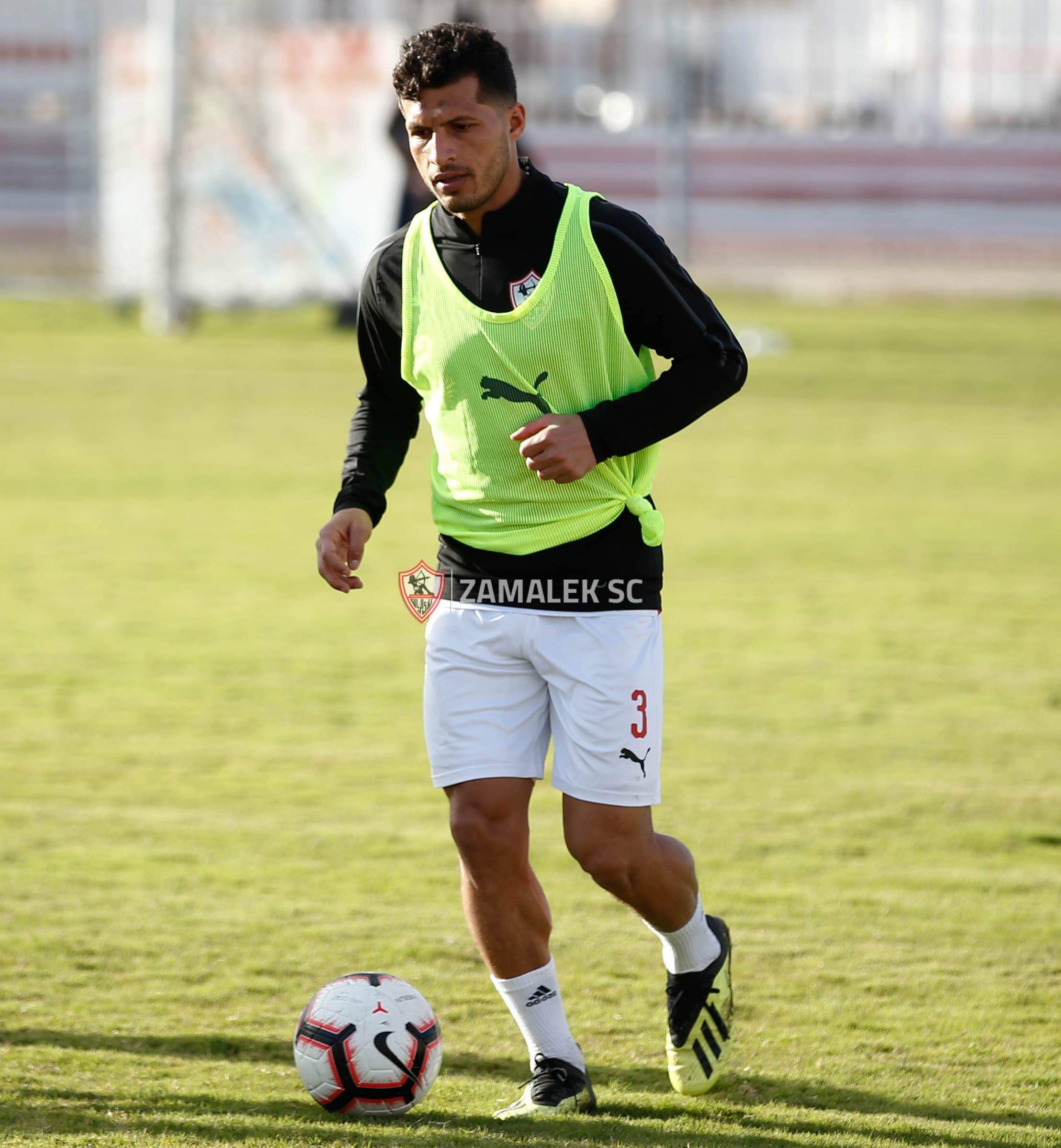 طارق حامد