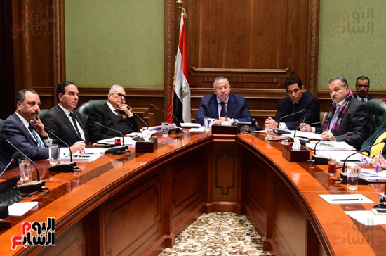 اللجنه الخاصه (11)