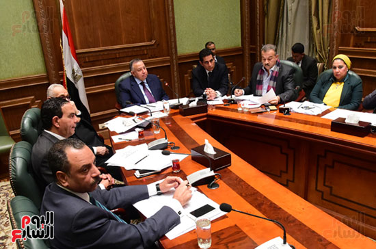 اللجنه الخاصه (6)