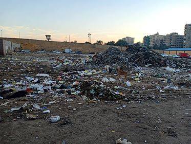 انتشار القمامة بالمنطقة التاسعة بمدينة نصر