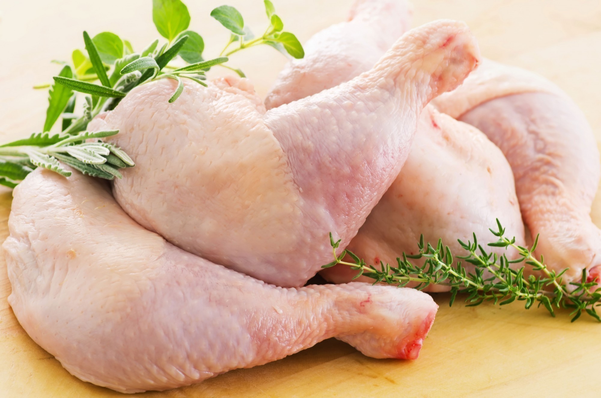 اضرار الافراط فى تناول الدجاج على صحة الإنسان اليوم السابع