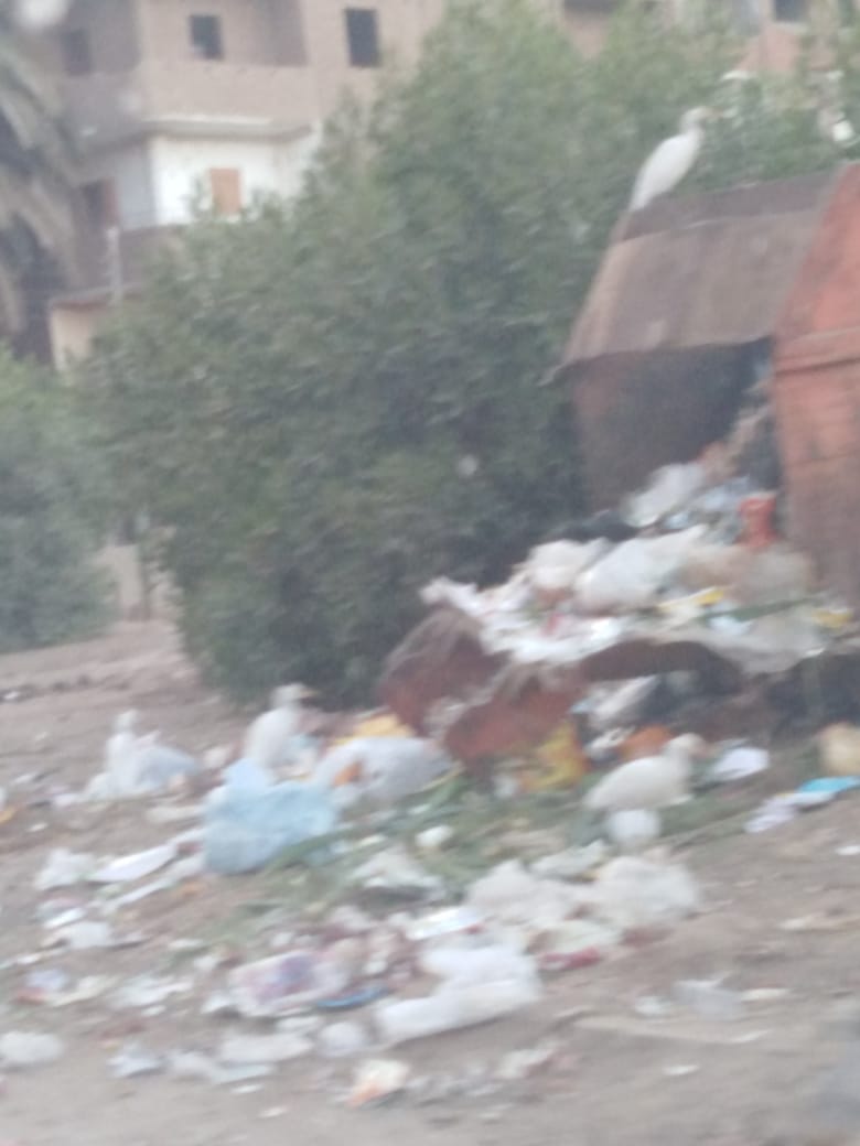 القمامة فى مدينة سوهاج (2)