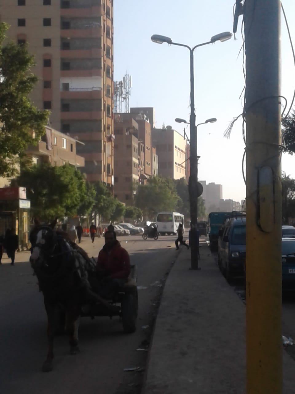شارع كريستال عصفور بمدينة شبرا الخيمة (5)