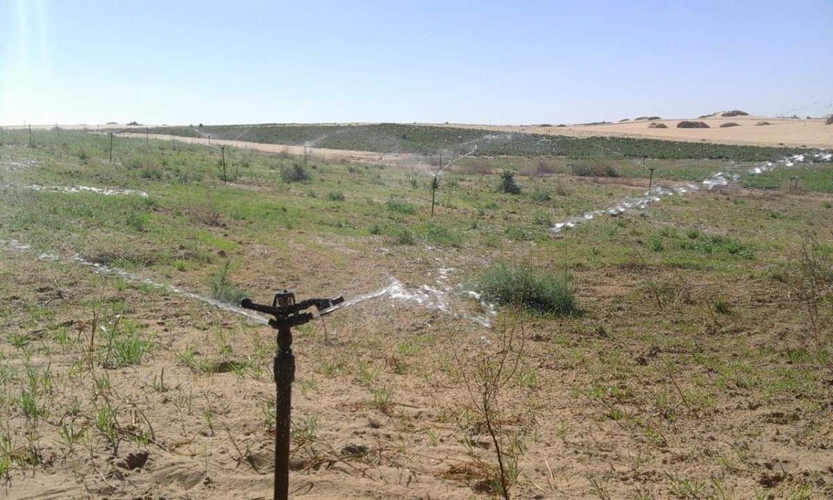مشروع محطة تنقية المياه وصوب زراعية  (2)